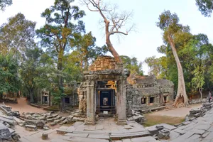 Majestic Trees Growing On Historical Angkor Thom Ruins Wallpaper