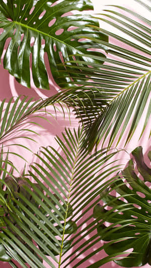 Majestic Tropical Greens Wallpaper