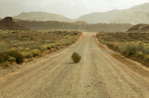 Majestic Tumbleweed In Open Desert Wallpaper