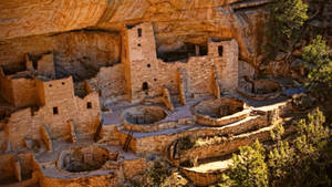 Majestic View Of Cliff Palace In Mesa Verde National Park Wallpaper