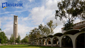 Majestic View Of Ucr Bell Tower And Rivera Lawn Wallpaper