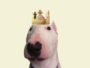 Majestic Walter The Dog Donning A Royal Crown Wallpaper