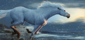 Majestic White Running Horse Wallpaper