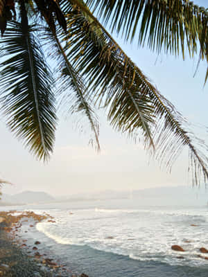 Make The Most Of Summer With Your Iphone At The Beach! Wallpaper