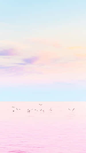 Make The Most Of The Sunshine And Enjoy The Soft Colors Of Summer. Wallpaper