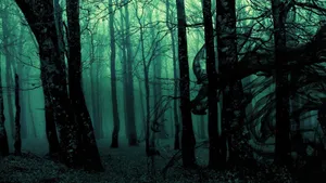 Make Your Way Through The Forbidden Forest! Wallpaper