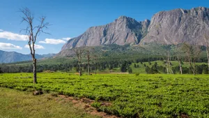 Malawi Rocky Plateaus Wallpaper