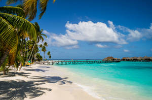 Maldives Luxury Island Resort Wallpaper