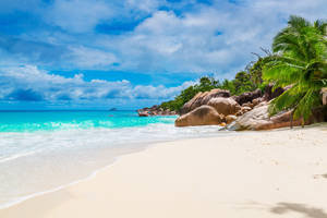 Maldives White Sand Beach Wallpaper