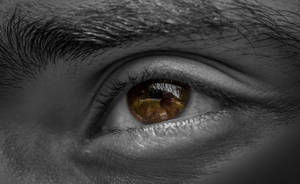 Male Brown Sad Eyes Wallpaper