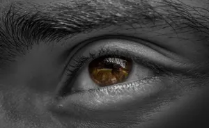 Male Brown Sad Eyes Wallpaper