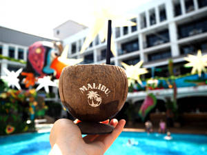 Malibu Coconut Cup Wallpaper