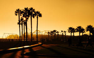 Malibu Silhouettes Of Palm Trees Wallpaper