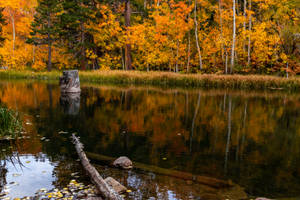 Mammoth Lakes Fall Desktop Wallpaper