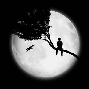 Man Alone On A Tree Wallpaper