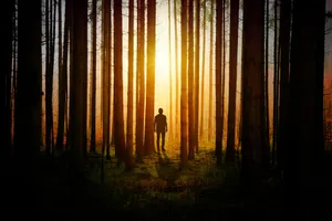 Man In The Woods Wallpaper