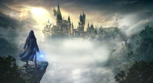 Man Looking At Hogwarts Desktop Wallpaper