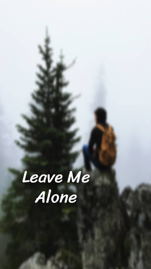 Man On Rock Leave Me Alone Wallpaper