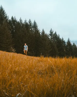 Man Personal Exercise Forest Wallpaper