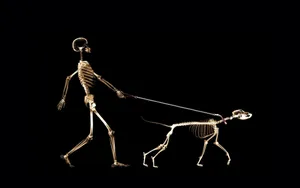 Man Walking With Skeleton Dog Against A Scenic Horizon Wallpaper