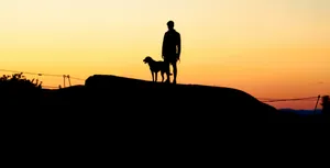 Man With A Cute Puppy Bestfriend Wallpaper