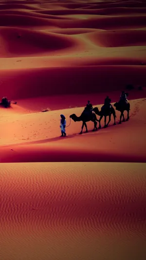 Man With Camels In A Desert Iphone Wallpaper