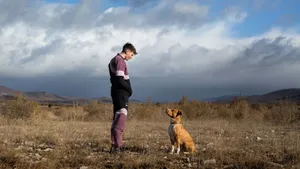 Manand Dogin Field Wallpaper