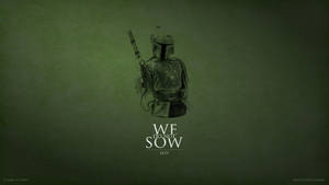 Mandalorian We Do Not Sow Wallpaper