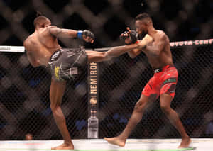 Manel Kape Kicked By Opponent Wallpaper