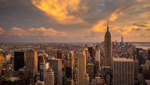 Manhattan Earth Colors Wallpaper