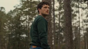 Manin Forest Glance Wallpaper