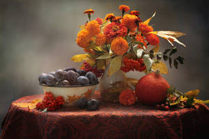 Marigold Flowers Centerpiece Wallpaper