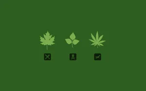 Marijuana Vector Artwork Wallpaper