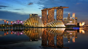 Marina Bay Sands Evening Structures Gardens Wallpaper