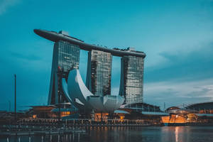 Marina Bay Sands Flower Structure Wallpaper