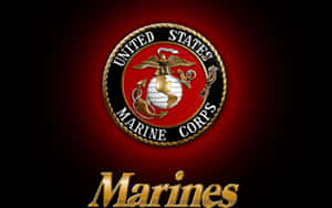 Marines Wallpapers - Marines Wallpapers Wallpaper