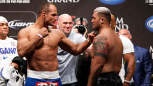 Mark Hunt And Junior Dos Santos Wallpaper