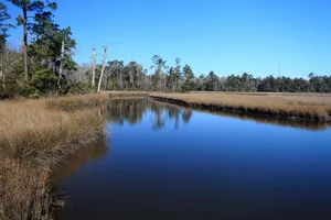 Marsh Lake Mississippi Wallpaper