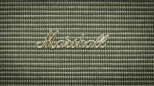 Marshall On Mesh Screen Wallpaper
