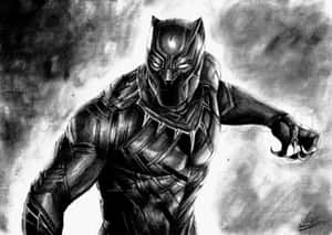 Marvel Black And White Black Panther Wallpaper