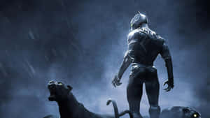 Marvel In Nature's Splendor With A Black Panther Landscape Wallpaper
