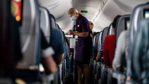 Mask Mandate Flight Attendant Wallpaper