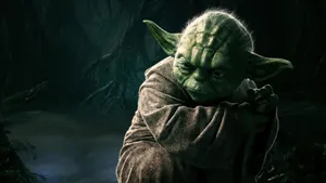 Master Yoda Wallpaper