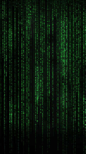 Matrix Code Iphone Wallpaper