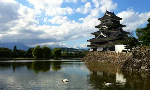 Matsumoto Castle Reflectionwith Swans Wallpaper