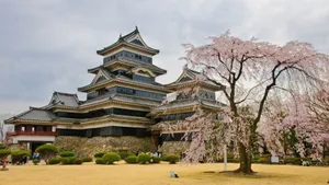 Matsumoto Castle Spring Blossoms Wallpaper