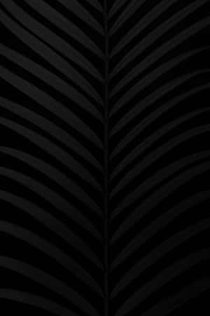 Matte Black Texture Background Wallpaper