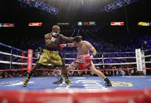 Mayweather Boxing Match Wallpaper