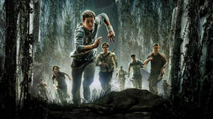 Maze Runner Escape Wallpaper