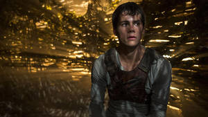 Maze Runner Hiding Thomas Wallpaper